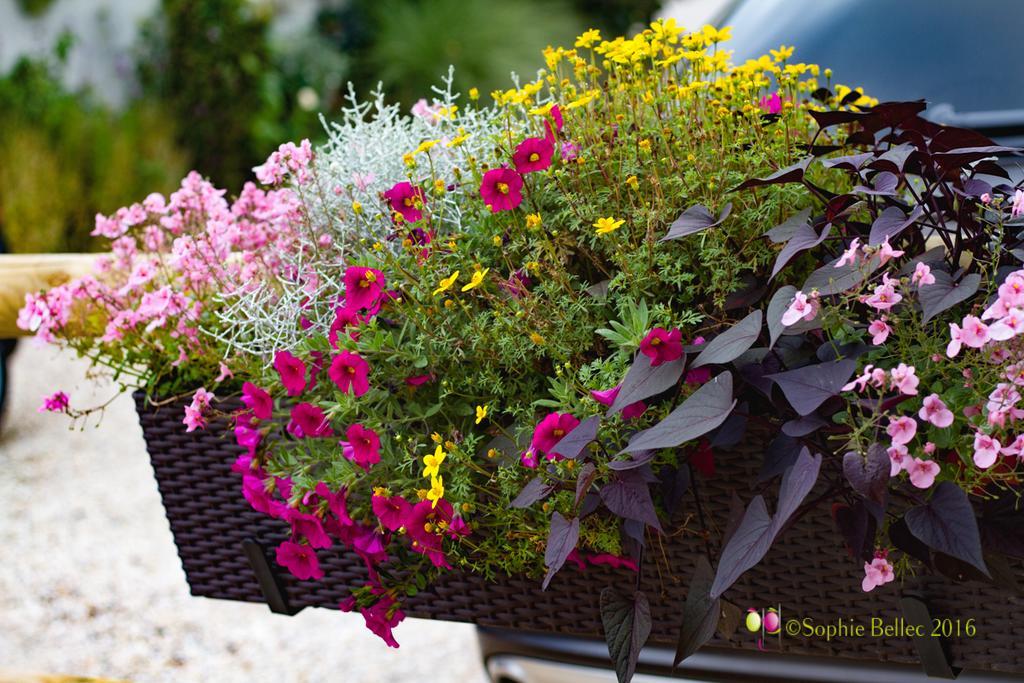L'Hostellerie D'Acquigny ภายนอก รูปภาพ